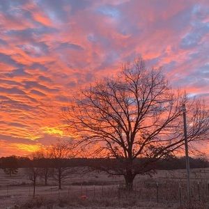 Meet your Posher, Karrie